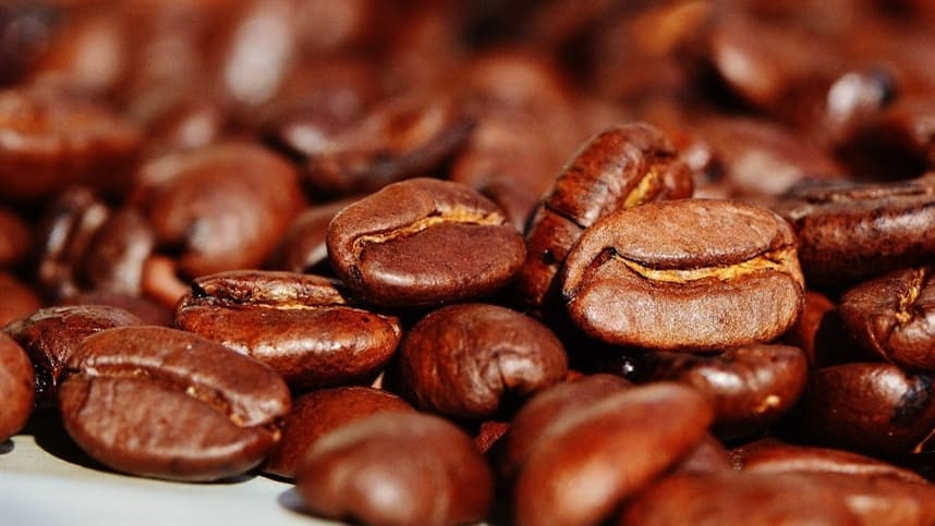 Adubação de café: planejamento estratégico para produtividade