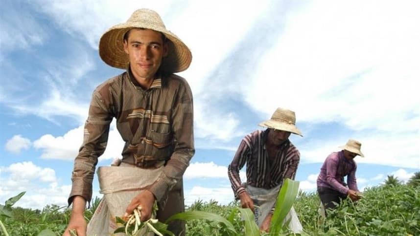 MDA Garante Manutenção das Alíquotas Previdenciárias para Agricultores e Pescadores Familiares