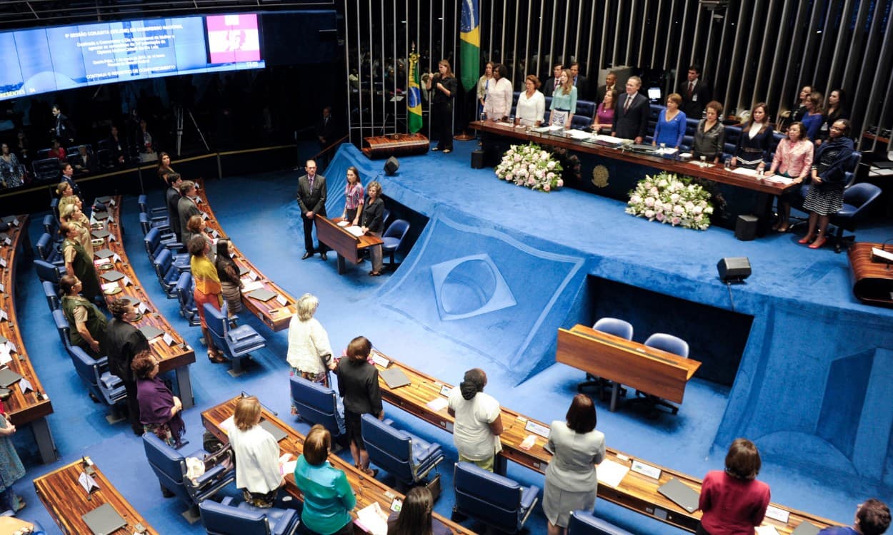 Movimento Antifeminista Ganha Espaço no Brasil e nos EUA