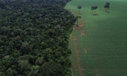 Brasil reduz desmatamento em 1,6 milhão de hectares em 2025