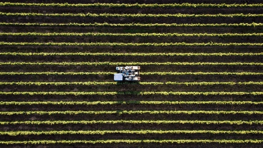 Reforma tributária provoca apreensão no setor agropecuário brasileiro