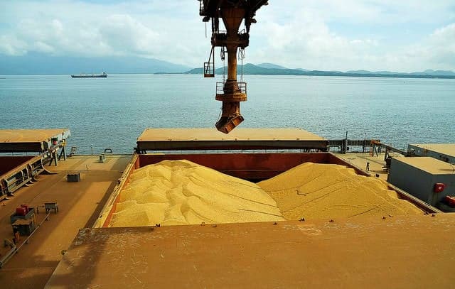 Exportações de soja do Brasil devem cair em junho
