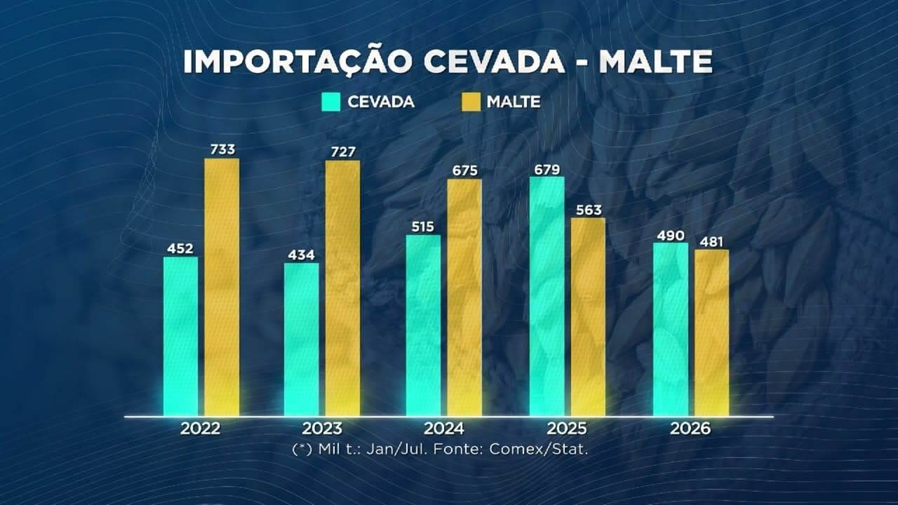 Cevada em alta: Brasil deve produzir 600 mil toneladas até 2026