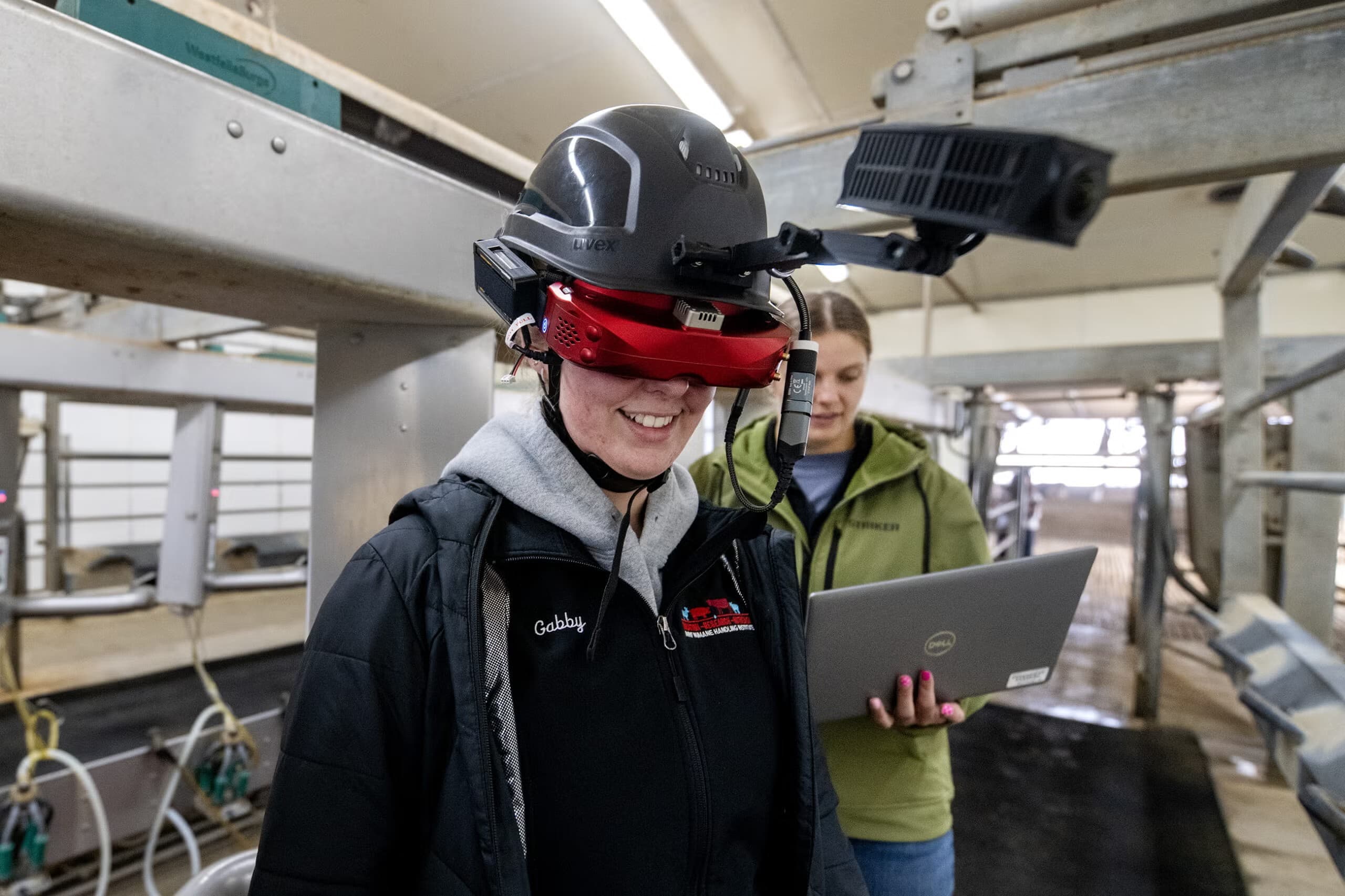Tecnologia inova ao mostrar como vacas enxergam para pecuaristas