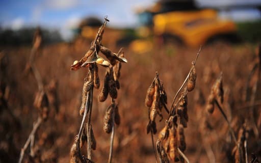 Ministério da Fazenda considera apoio a produtores rurais endividados