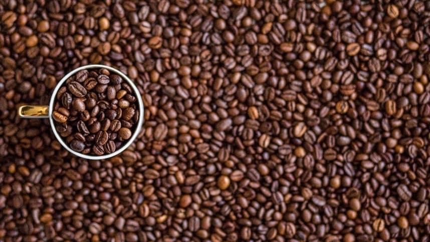 Alta no feijão e queda no café marcam mercados agrícolas em maio