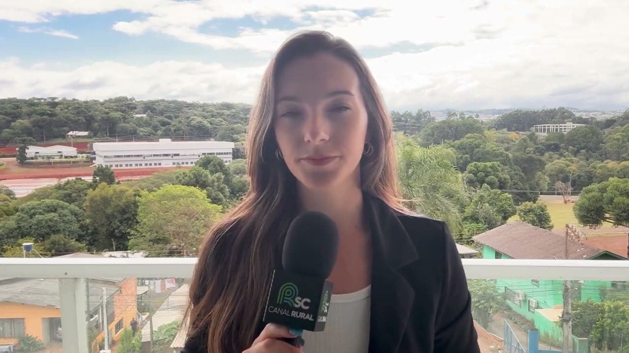 Santa Catarina lidera exportações de carne suína com 70% do abate