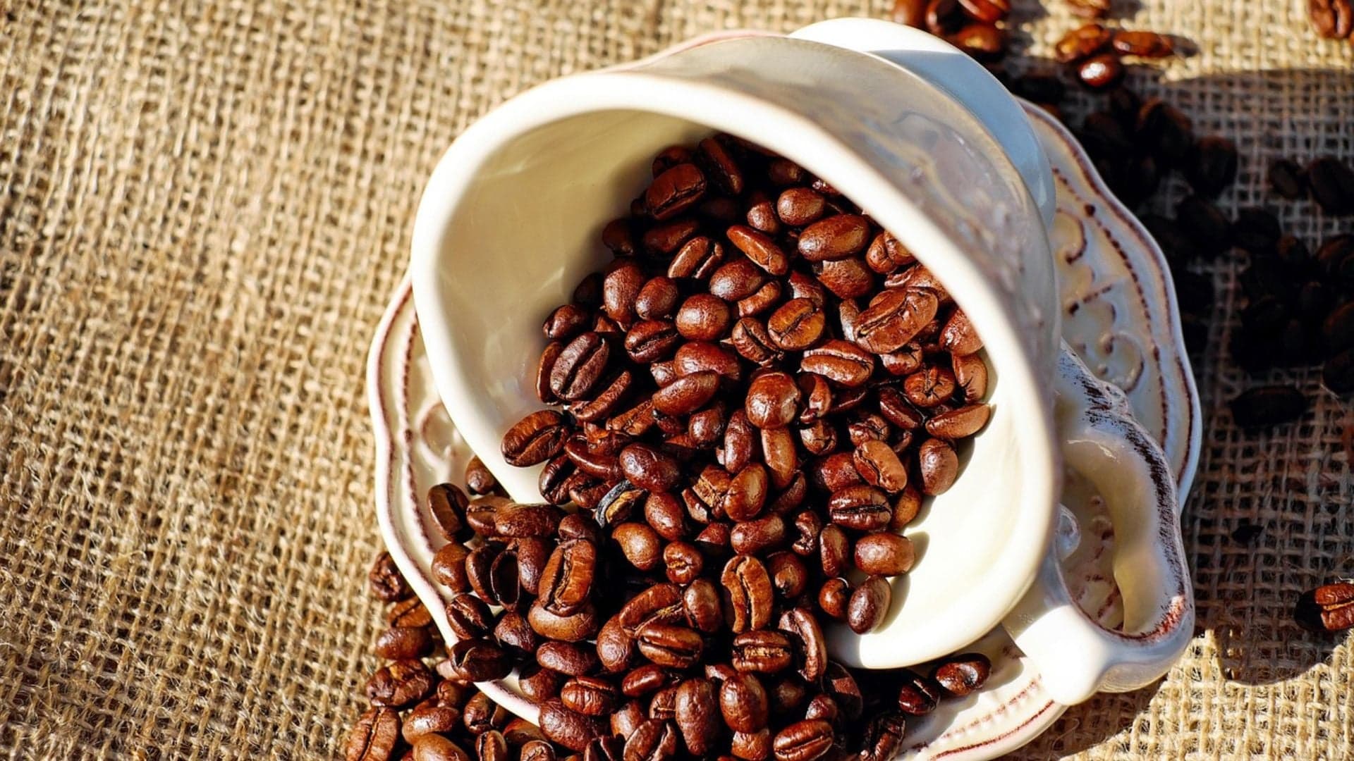 Café global terá superávit de 10 milhões de sacas em 2026