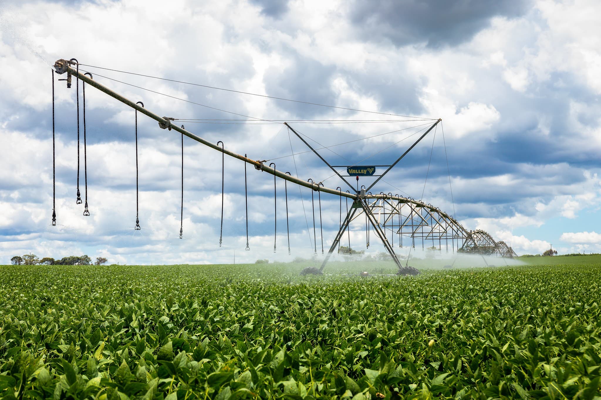 SLC Agrícola planeja expandir área irrigada em 206,7%
