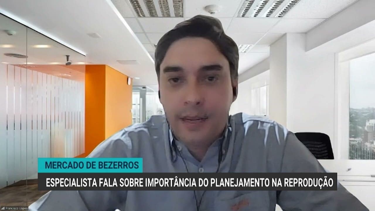 Mercado de bezerros em crescimento demanda planejamento dos pecuaristas