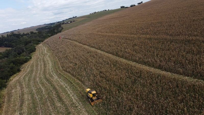 Estoques de milho nos EUA atingem 2,095 bilhões de bushels em setembro
