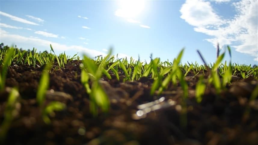 Embrapa inicia Ciclo de Diálogos para Agricultura Sustentável no Pará