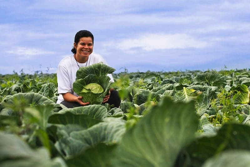 Prefeitura de Sorriso abre chamada para agricultores fornecerem alimentos ao PAA