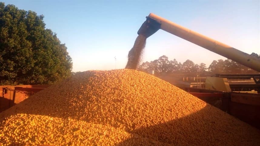 Fenasoja Soy Summit discute descarbonização da soja em Santa Rosa