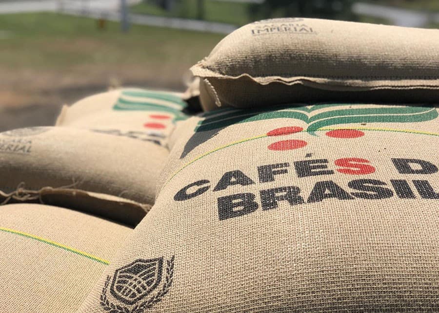 Café: Exportações elevadas do Brasil e clima pressionam preços internacionais