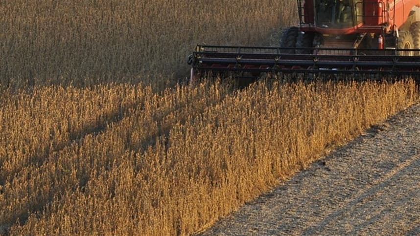 Manutenção preventiva de máquinas agrícolas evita paradas inesperadas