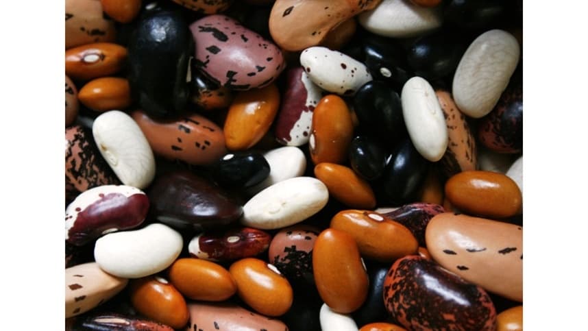 Feijão brasileiro: conquistando destaque no cenário global