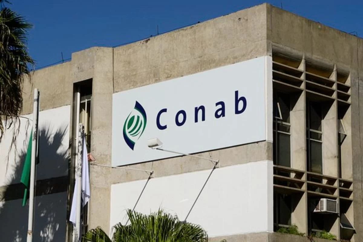 Conab enfrenta ataques cibernéticos que afetam sistemas digitais