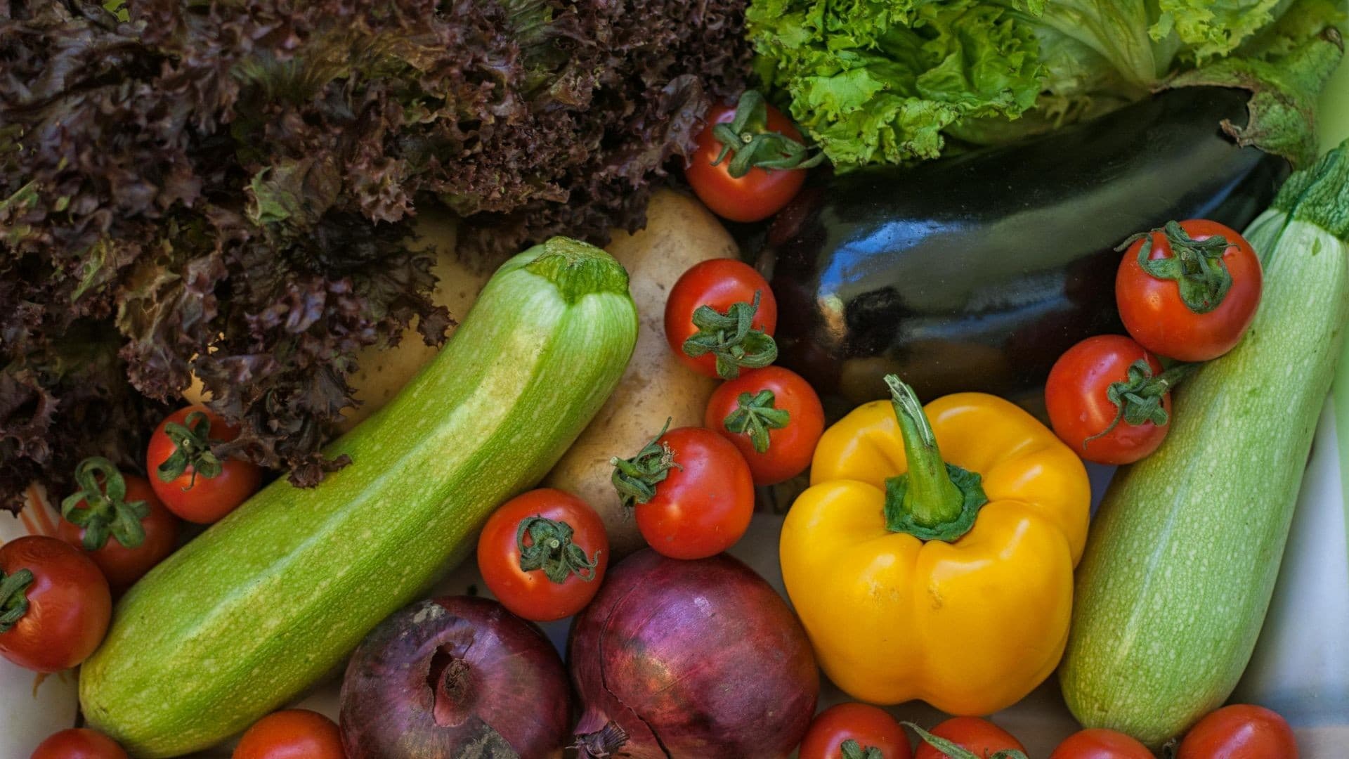 Outubro é mês ideal para plantar diversas hortaliças
