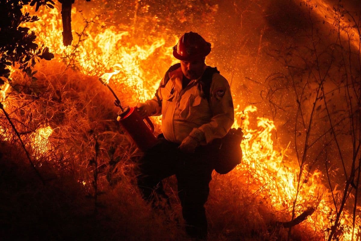 Incêndios florestais nos EUA superam 30 mil e queimam 8 mil km² em 2026