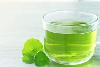Chás calmantes para uma boa noite de sono