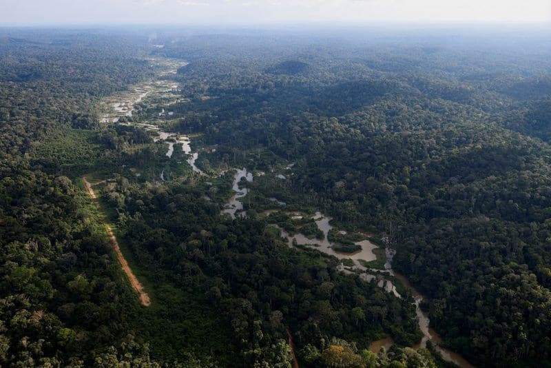 AMAB11 conecta investidores a projetos sustentáveis na Amazônia