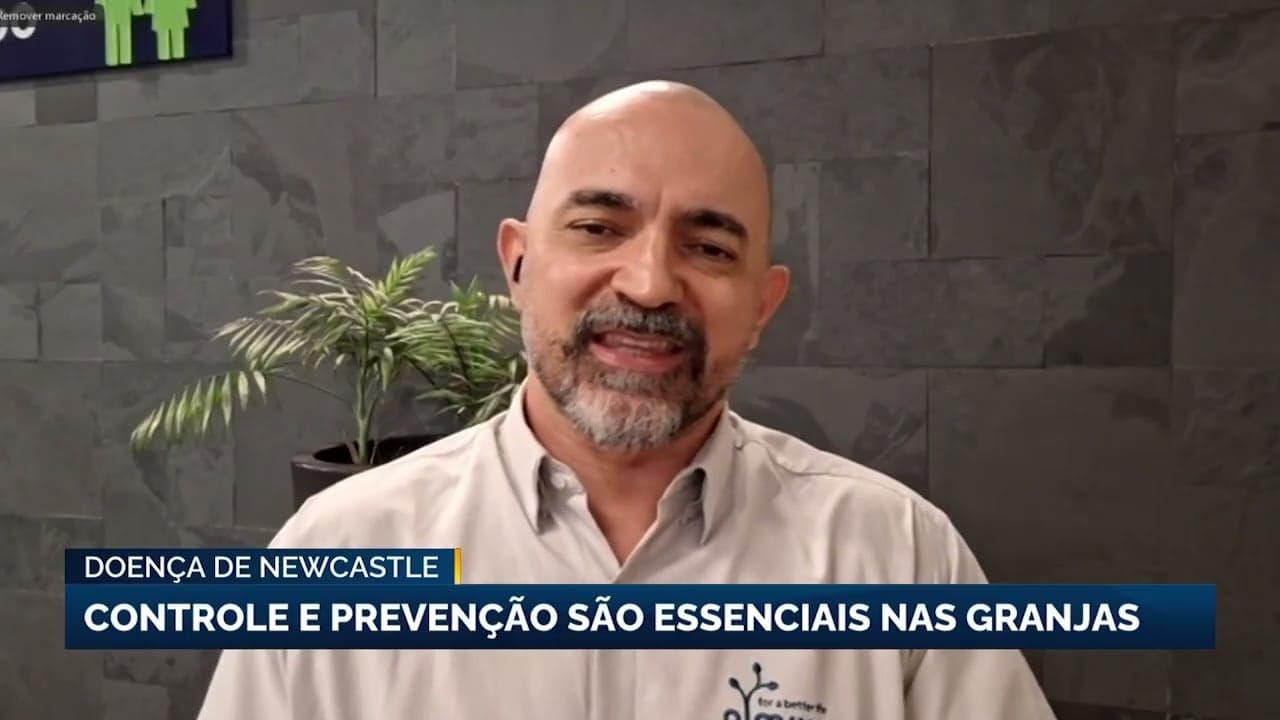 Doença de Newcastle gera preocupação entre criadores de aves