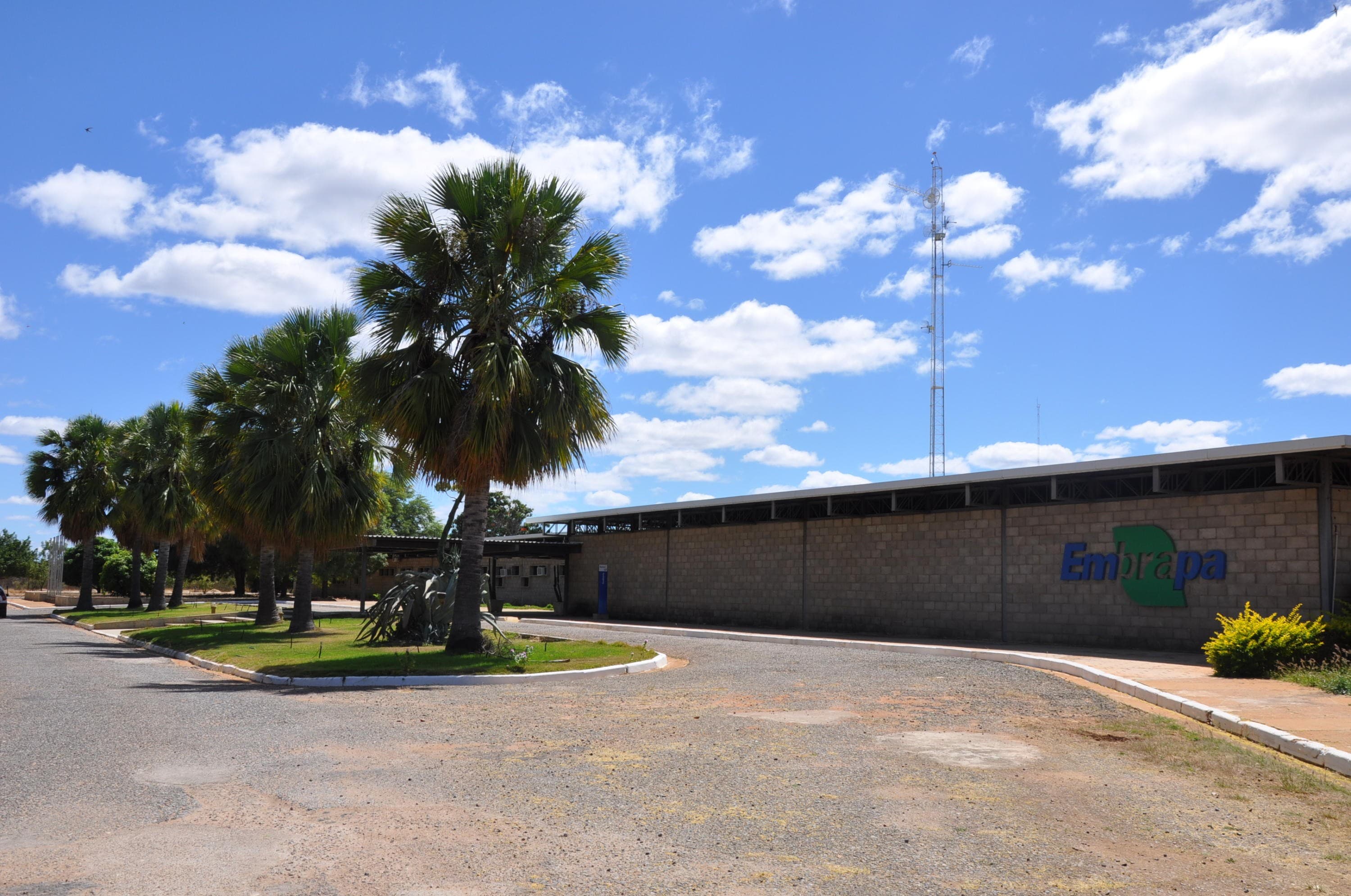 TST condena Embrapa a pagar horas extras por exposição ao calor
