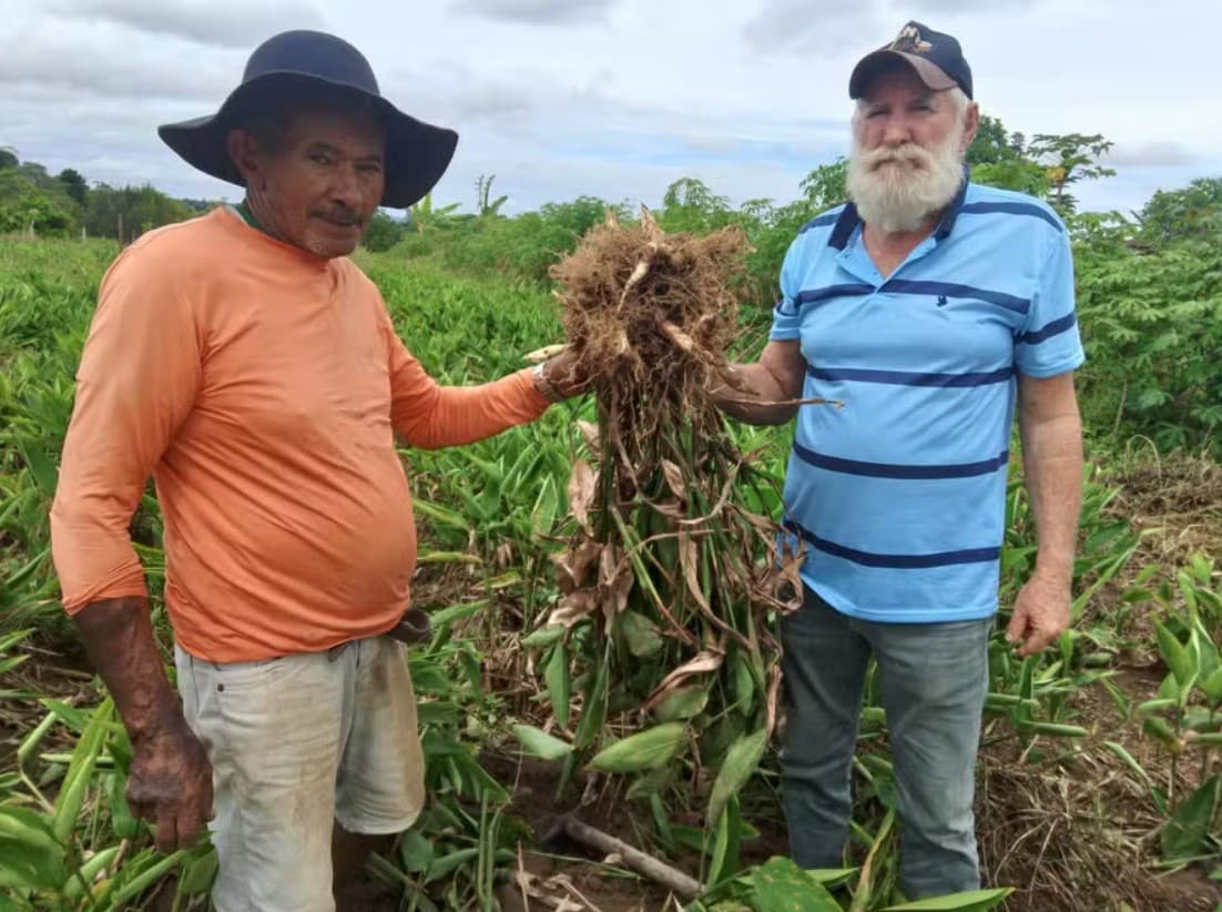 Brasil tem 369 espécies alimentares subutilizadas em potencial nutricional