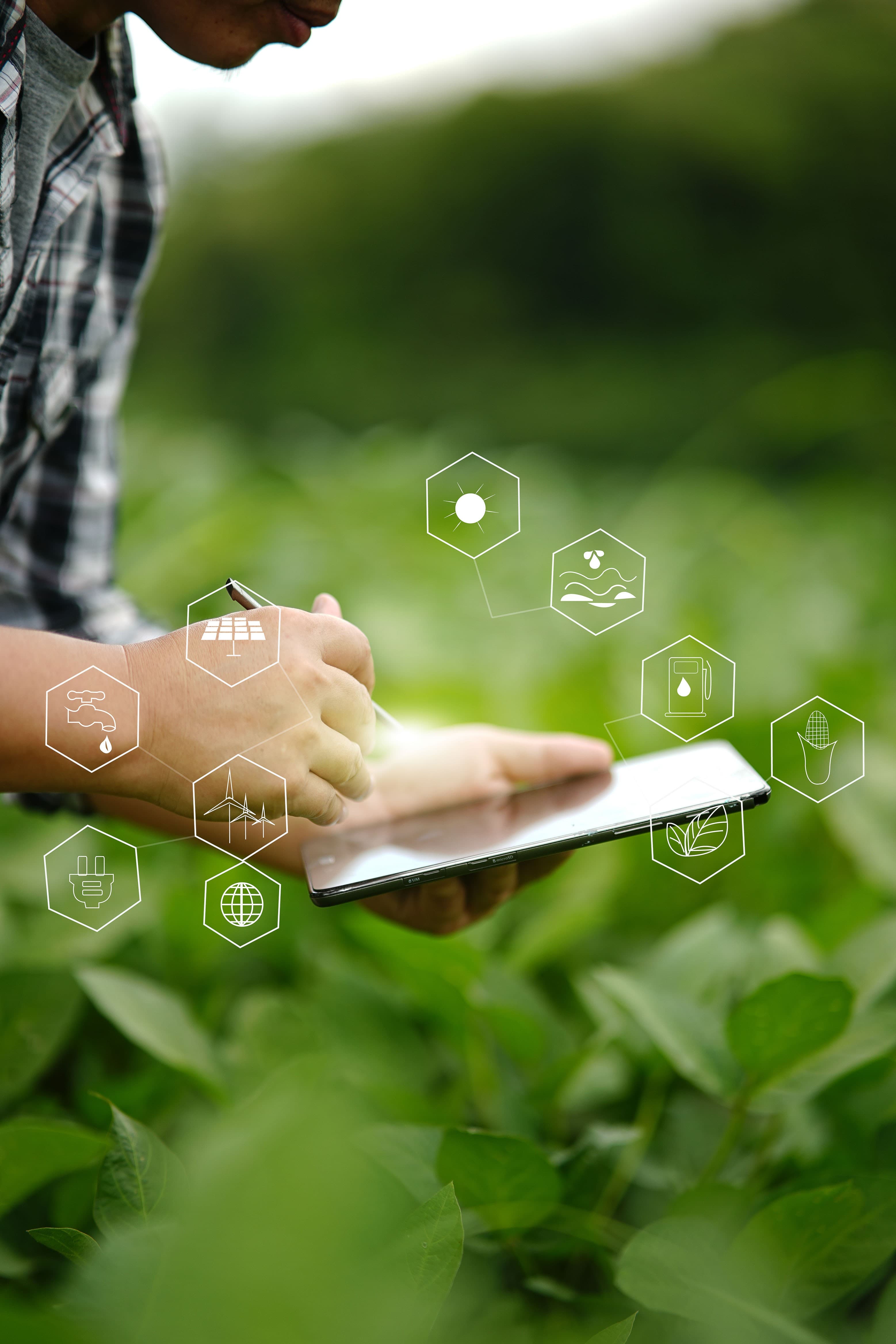 Conectividade transforma gestão no agronegócio com 4G e IoT