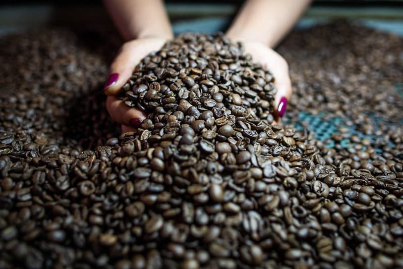 Preços do café e cacau sobem na bolsa de Nova York; açúcar tem leve alta