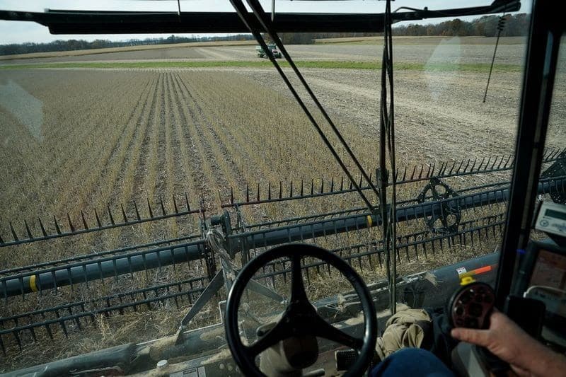 Processadoras de soja oferecem prêmios em meio a colheita atrasada nos EUA