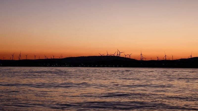 Calor nos oceanos atinge recorde e altera ecossistemas marinhos