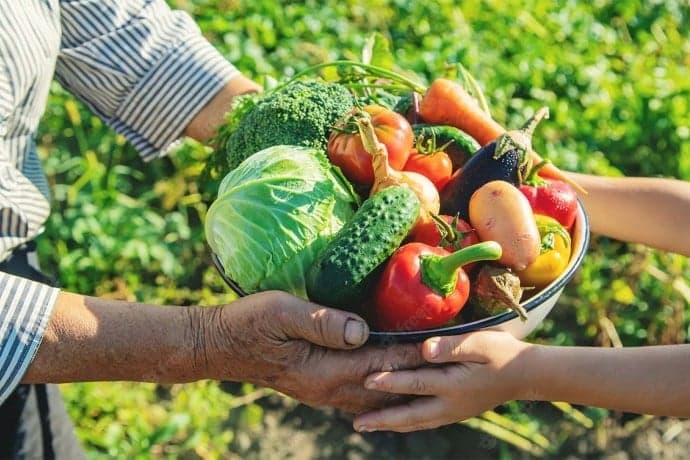Agro brasileiro celebra 40 anos de sucesso, mas demanda mudanças