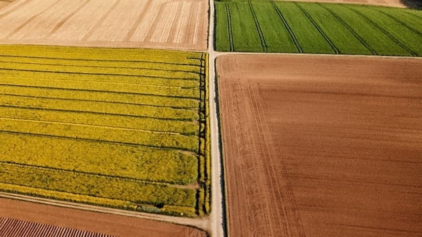 Modelo agrícola japonês revela diferenças em relação ao Brasil
