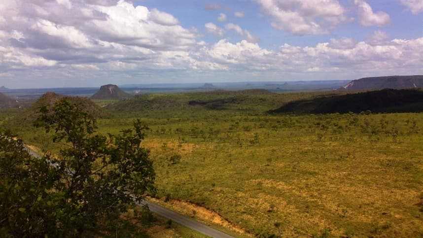 Aiba impulsiona integração entre agricultura e conservação no Cerrado baiano