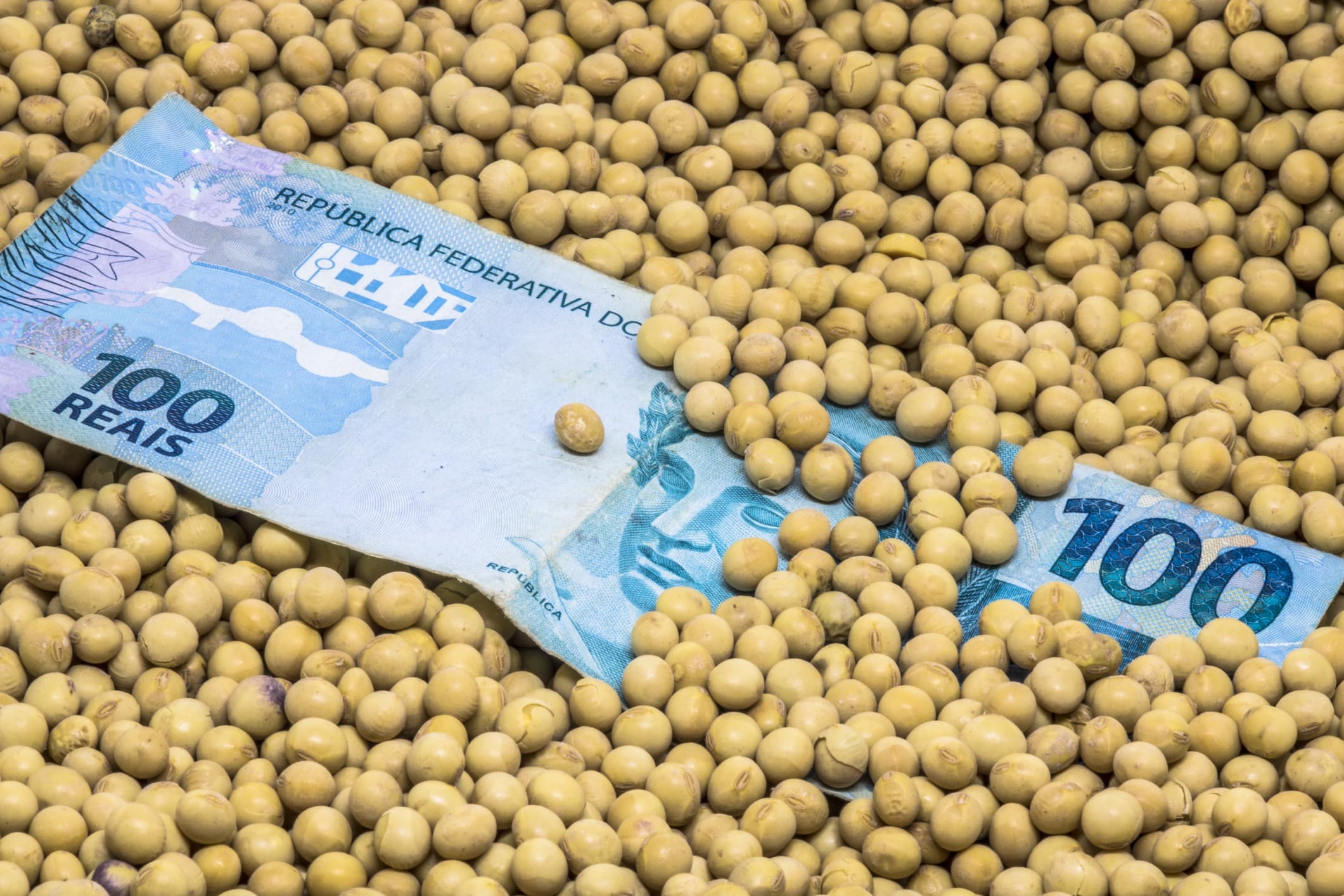 Endividamento no setor agro cresce 58% no primeiro trimestre de 2026