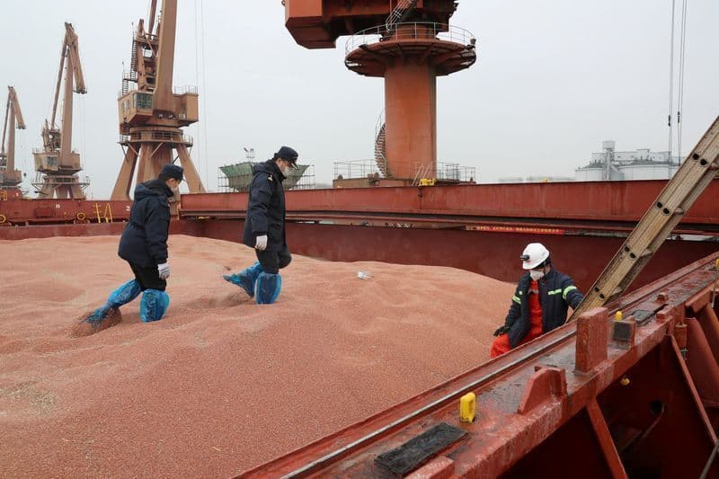 China diversifica fornecimento agrícola e reduz compras dos EUA