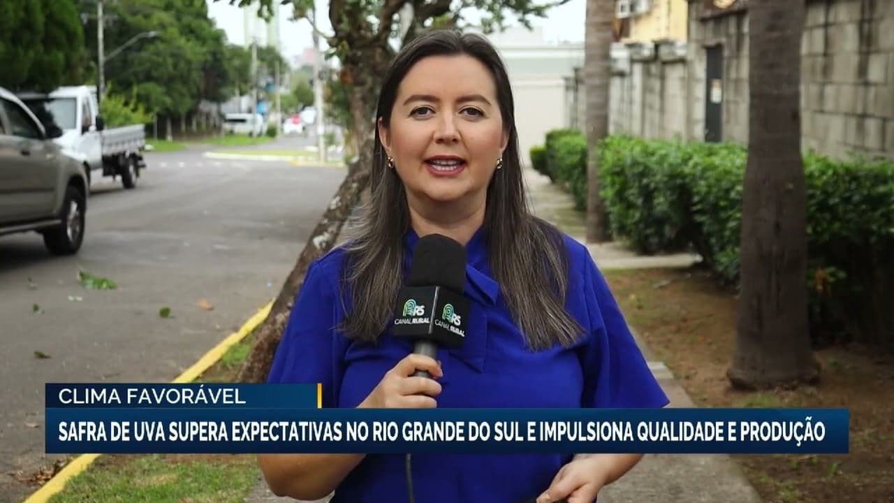 Safra de uvas do Rio Grande do Sul supera expectativas