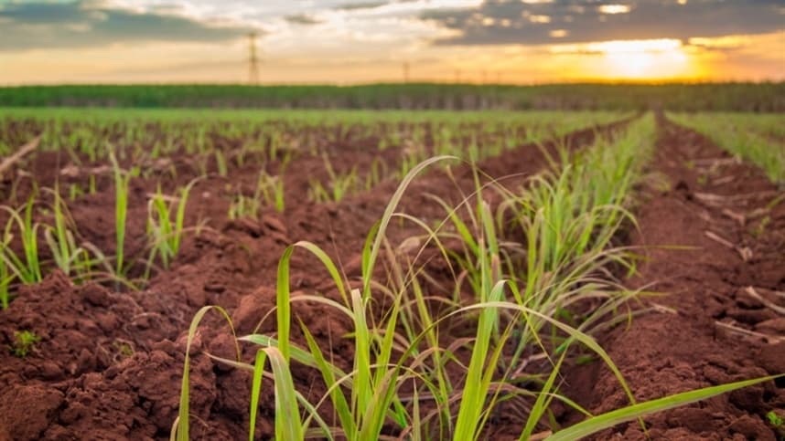 Produtores devem atentar para a DITR 2026 do Imposto Territorial Rural