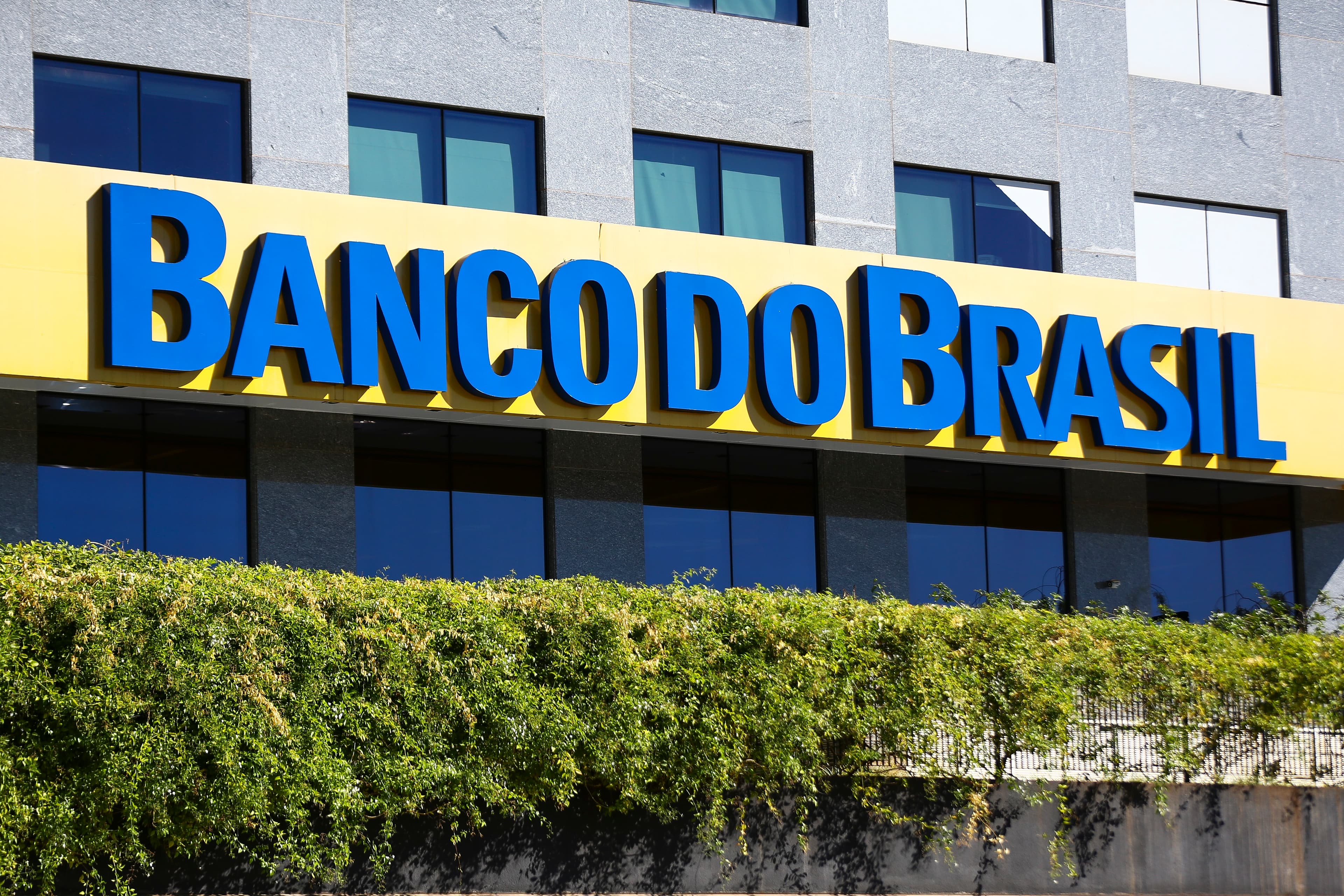 Banco do Brasil inicia renegociação de dívidas rurais impactadas por safras perdidas