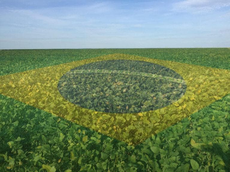 Regulamentação dos bioinsumos é urgente para setor no Brasil