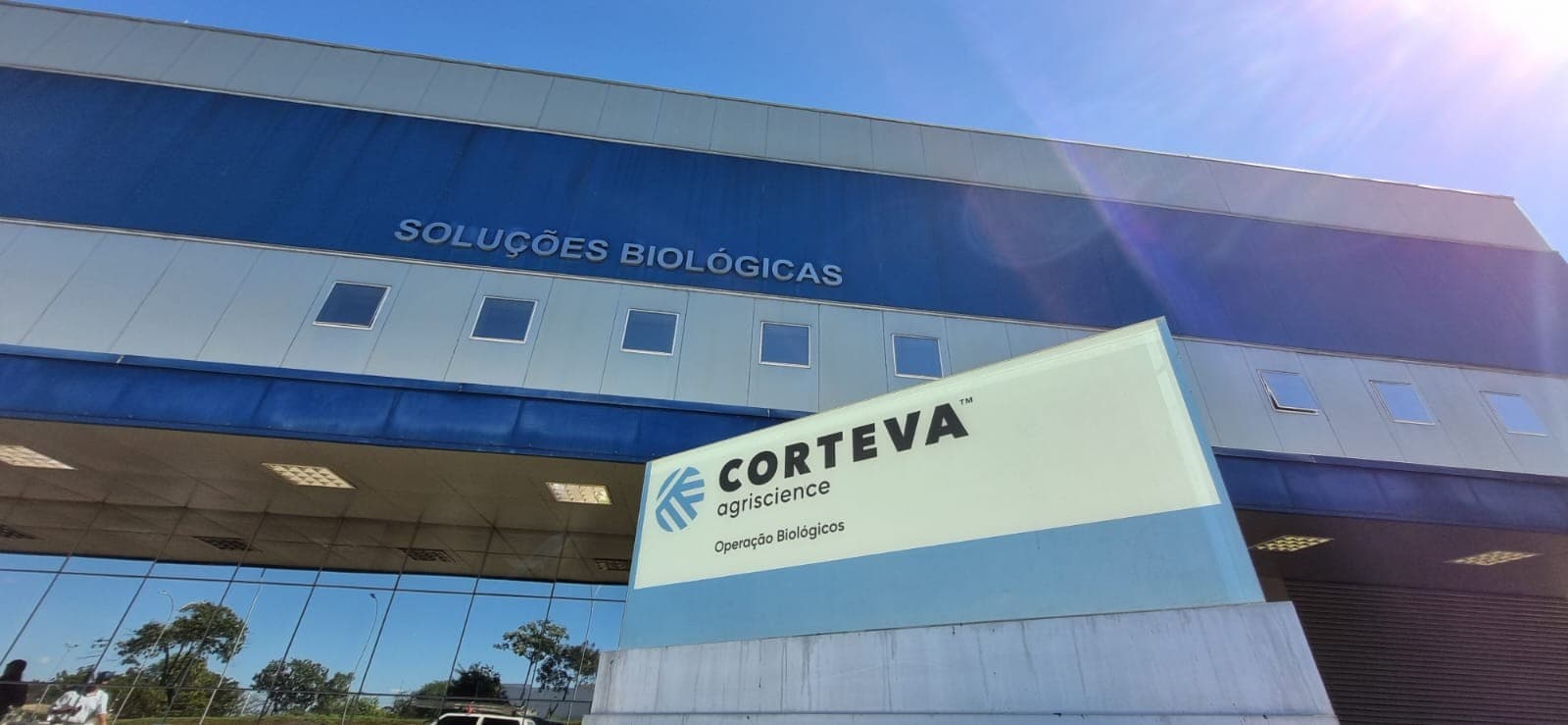 Corteva anuncia separação do negócio de sementes e criação da Vylor Inc.