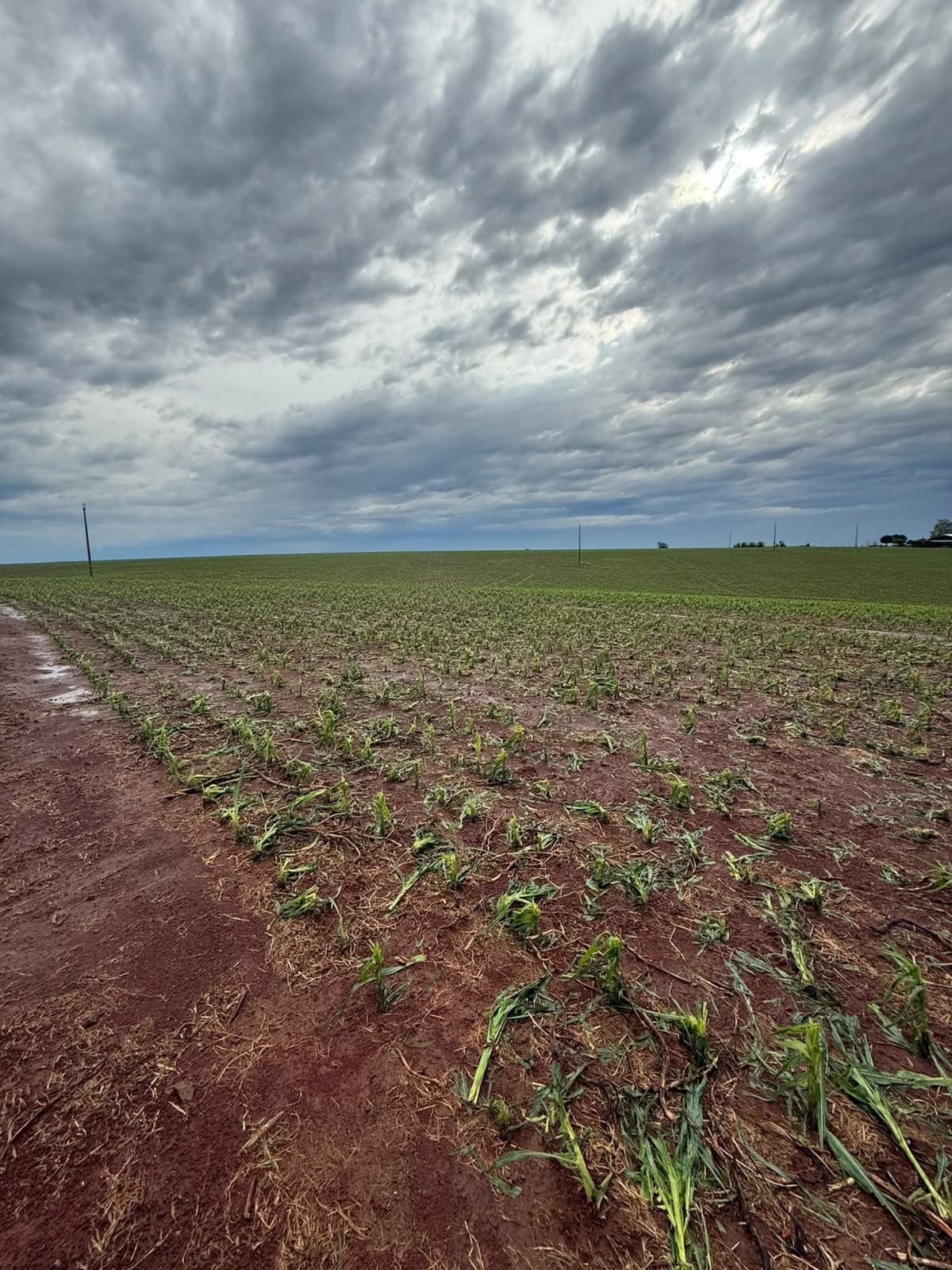Ciclone extratropical provoca mudanças climáticas no Sul e Sudeste do Brasil