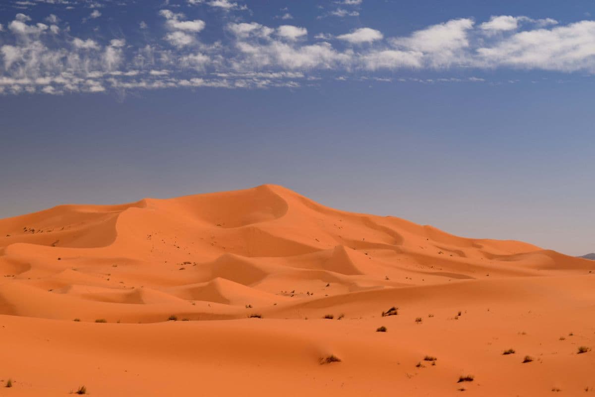 Caminhão quebra no deserto e 49 nigerinos morrem de sede
