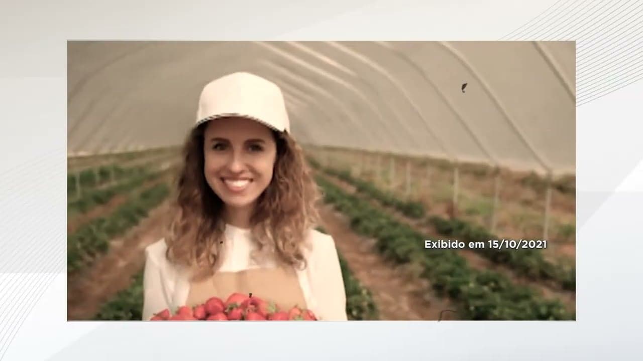 Mulheres no Agronegócio: Um Papel Crescente e Desafios Persistentes
