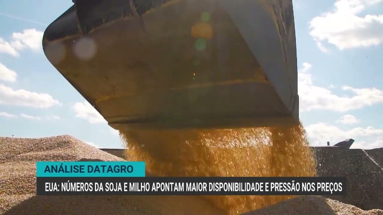 Produção de soja e milho nos EUA cresce e pressiona preços dos grãos