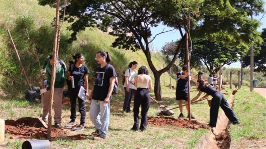 Belo Horizonte e Instituto Levante Verde aumentam produção de mudas