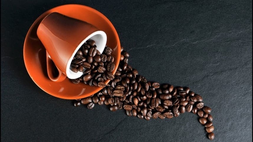 Crescimento do café se intensifica com chuvas, alerta especialistas