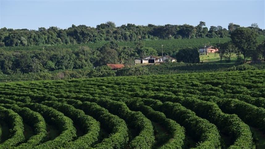 Café sustentável é destaque em concurso do Sistema Faemg Senar